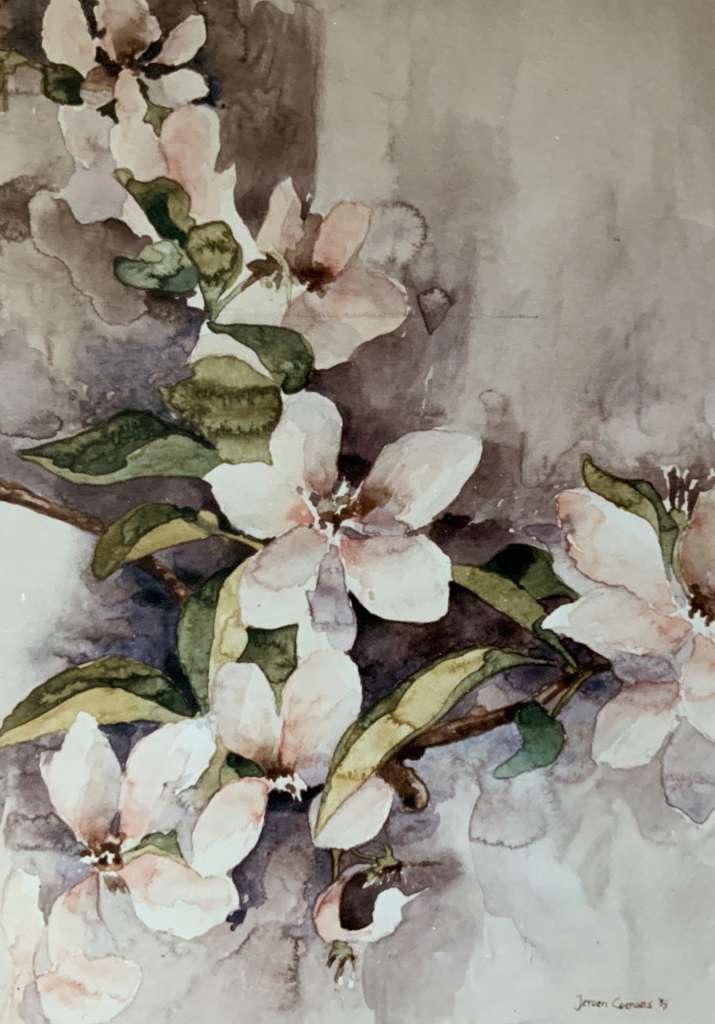 Sfeervolle aquarel van Jeroen Coenders van appelbloesem met delicate witte bloemen en groene bladeren tegen een zachtgrijze achtergrond.