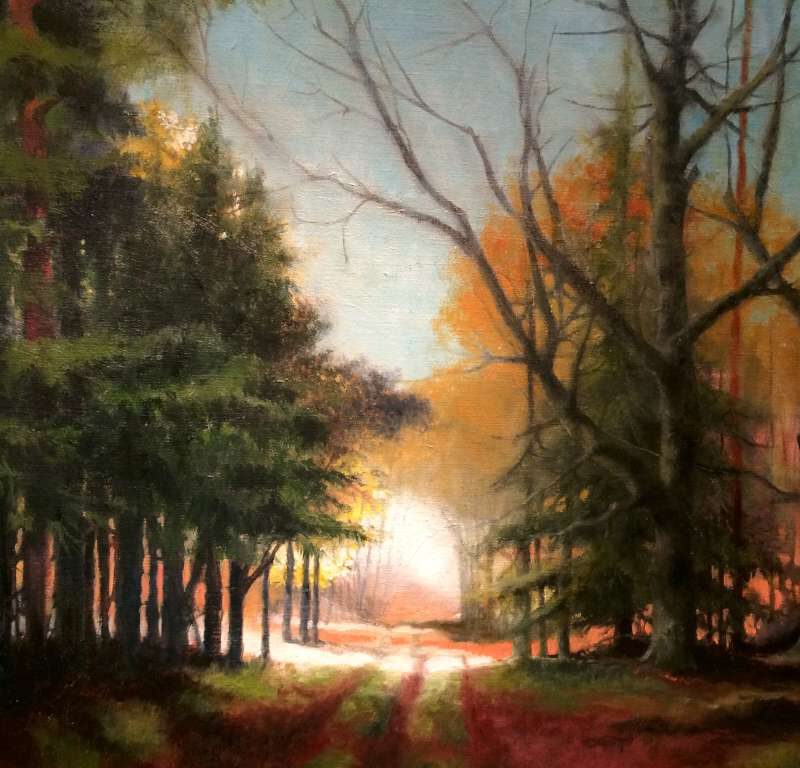 Schilderij van Jeroen Coenders van een bospad bij zonsondergang, met warm licht dat door de bomen valt en lange schaduwen werpt op de bosbodem in een sfeervolle, impressionistische stijl.