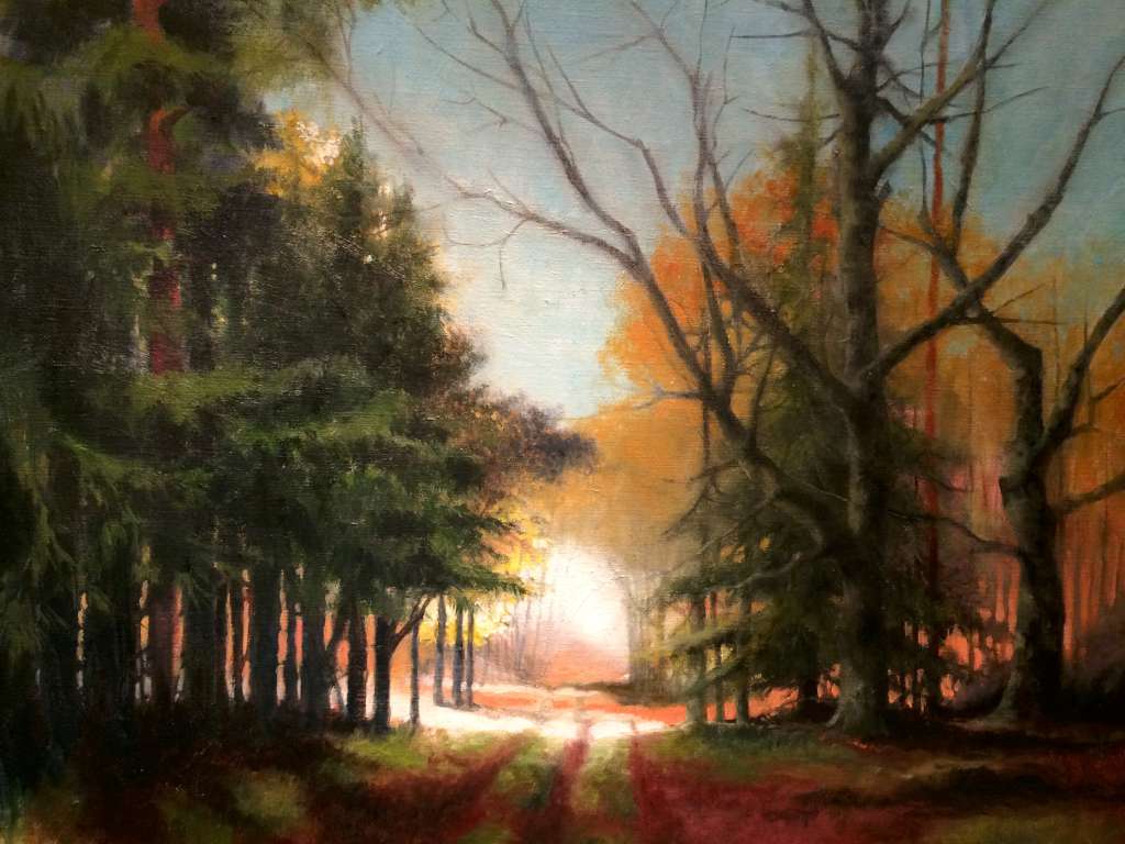 Schilderij van Jeroen Coenders van een bospad bij zonsondergang, met warm licht dat door de bomen valt en lange schaduwen werpt op de bosbodem in een sfeervolle, impressionistische stijl.