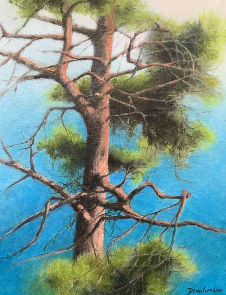 Schilderij van een boom met een dikke stam, kale takken en groen naaldhout tegen een helderblauwe lucht, gemaakt door Jeroen Coenders