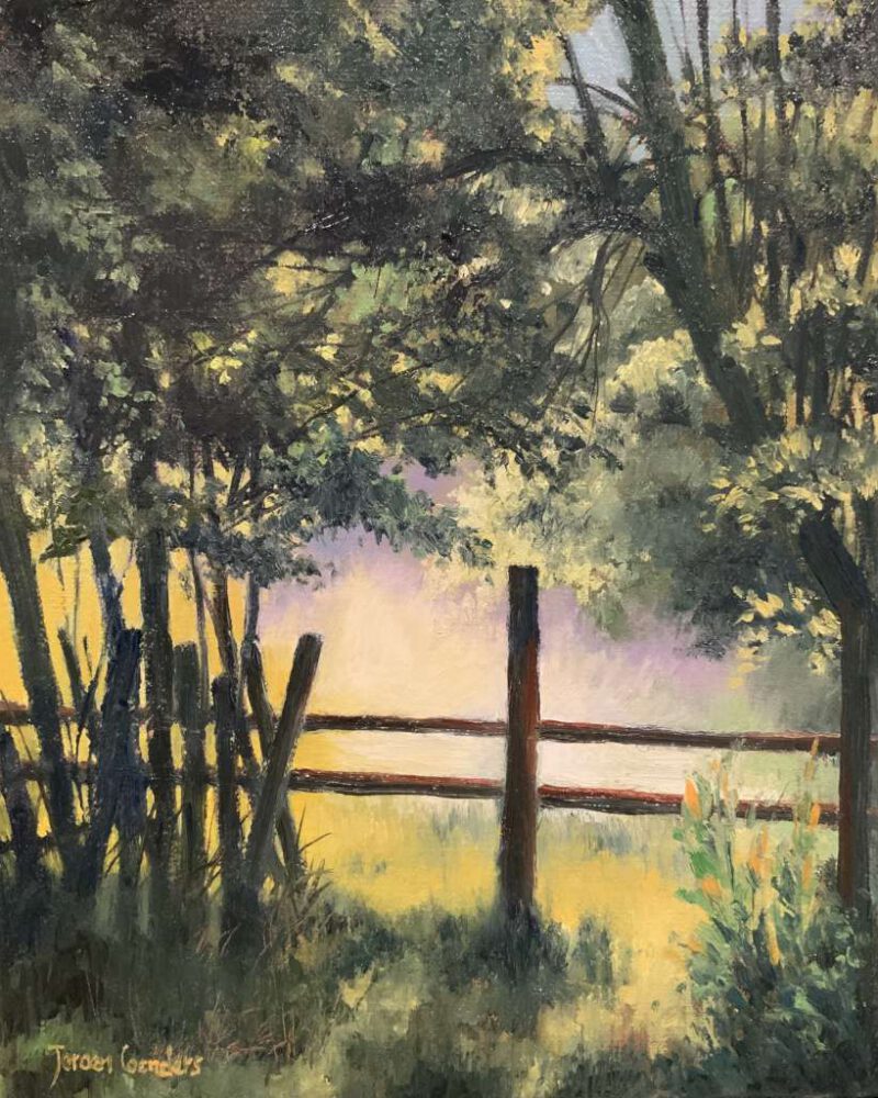 Impressionistisch schilderij van een houten hek voor een zonovergoten weide, gezien door de schaduw van bomen met sfeervol tegenlicht, door Jeroen Coenders.