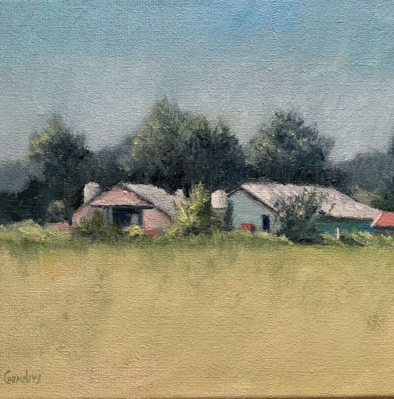 Impressionistisch landschapsschilderij in olieverf door Jeroen Coenders, met een zonovergoten goudgeel veld op de voorgrond en een ensemble van rustieke schuren met rode en grijze daken tegen een achtergrond van dichte, donkergroene bomen onder een helderblauwe lucht.