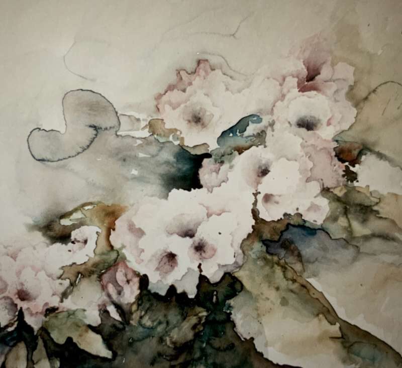 Verfijnde aquarel van Jeroen Coenders van een bloeiende rododendron met zachte wit-roze bloemen en abstracte groene bladeren.
