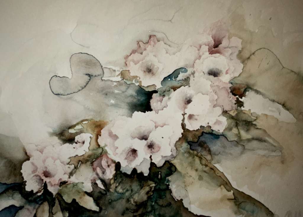 Verfijnde aquarel van Jeroen Coenders van een bloeiende rododendron met zachte wit-roze bloemen en abstracte groene bladeren.