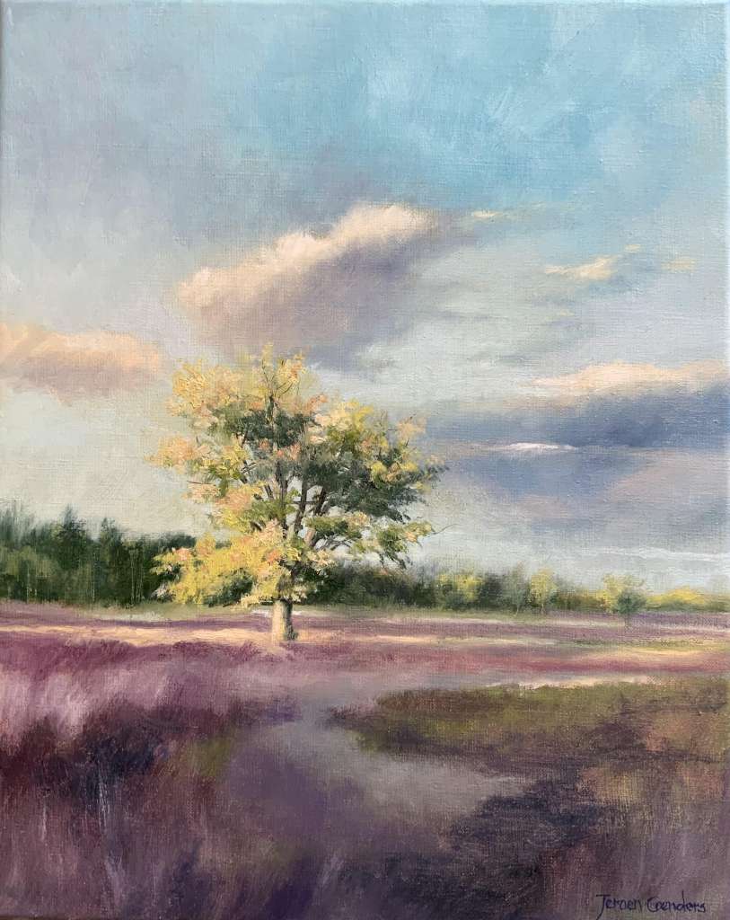 Schilderij van Jeroen Coenders van een bloeiend heidelandschap met een solitaire loofboom onder een lichte bewolkte lucht met zachte lichtinval.