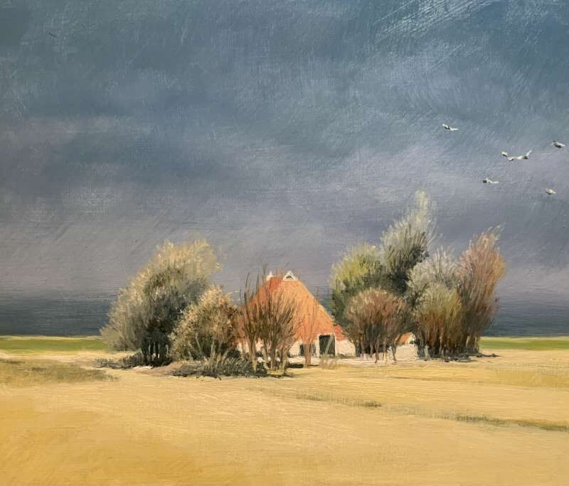 Schilderij van een karakteristieke stolpboerderij met een oranje dak omringd door bomen in een weids landschap onder een dreigende grijze lucht met wegvliegende vogels, door Jeroen Coenders.