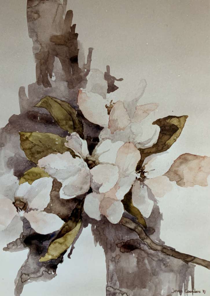 Verfijnde aquarel van Jeroen Coenders van appelbloesem met zachte witte bloemblaadjes en groene bladeren tegen een neutrale achtergrond.