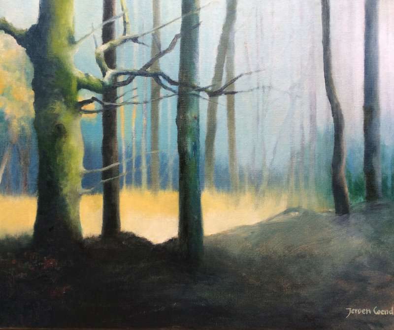 Schilderij van Jeroen Coenders van een mystiek boslandschap met zonlicht dat door de bomen valt op een open plek, uitgevoerd in sfeervolle groen-, blauw- en geeltinten.