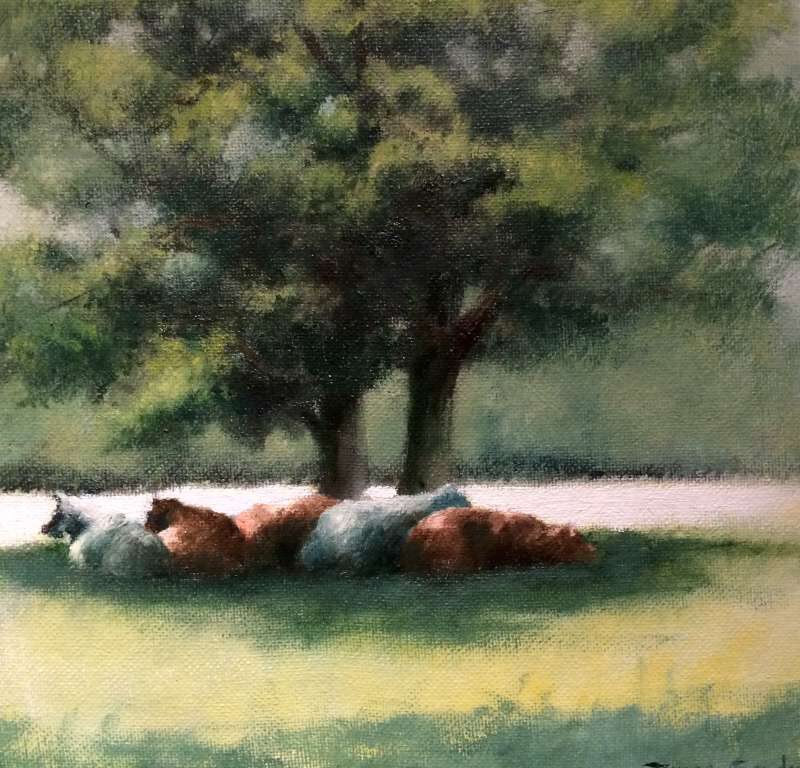 Schilderij van een groep schapen die in de schaduw van een grote boom rusten in een zonnig weiland, gemaakt door Jeroen Coenders.